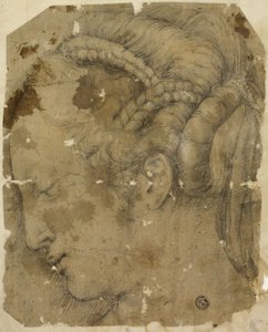 Kobieca głowa w profilu w lewo autorstwa Giorgio Vasari
