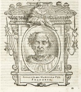 Mediolan, Biblioteca Braidense, Vite de piv excellent, Giorgio Vasari 1568, Guglielmo Marcilla autorstwa Giorgio Vasari