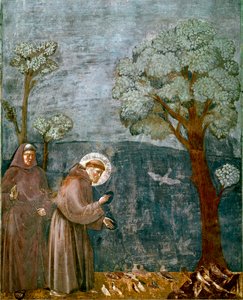 Epizod z życia św. Franciszka z Asyżu (San Francesco): „”Orzekanie ptaków””” Fresk Giotto (Ambrogio di Bondone
