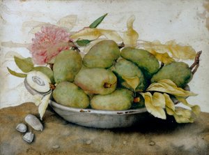Talerz loquatów, migdałów i róży autorstwa Giovanna Garzoni