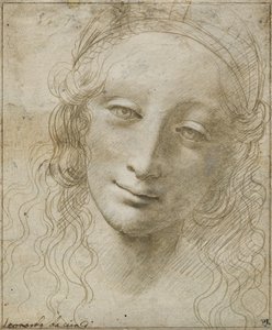 Głowa kobiety autorstwa Giovanni Antonio Boltraffio