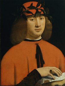 Portret młodego mężczyzny, ok. 1500 (olej na desce) autorstwa Giovanni Antonio Boltraffio