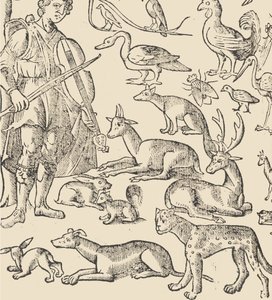 Przykład recammi, strona 12 verso, 1530. autorstwa Giovanni Antonio Tagliente