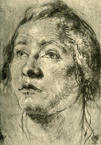 Głowa młodzieńca, połowa XVIII wieku, 1928 autorstwa Giovanni Battista Tiepolo