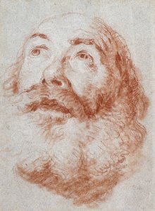 Głowa starego człowieka patrzącego w górę, autorstwa Giovanni Battista Tiepolo