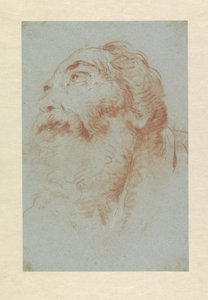 Głowa starego człowieka autorstwa Giovanni Battista Tiepolo