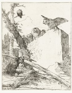 Druk tytułowy do Scherzi di fantasia z sowami przy kamieniu Scherzi di fantasia (tytuł serii) autorstwa Giovanni Battista Tiepolo