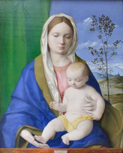 Madonna z Dzieciątkiem, ok. 1500 (olej na płycie) autorstwa Giovanni Bellini