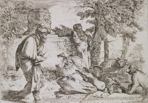 Diogenes szuka uczciwego człowieka (akwaforta) autorstwa Giovanni Benedetto Castiglione