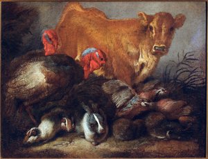 Studium zwierząt Krowa, indyk, królik, Obraz Giovanniego Benedetto Castiglione dit il Grechetto (1610-1665) Wymiary 30x38,5 cm Genes, Musei di Strada Nuova autorstwa Giovanni Benedetto Castiglione