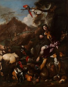 Orfeusz śpiewający zwierzętom autorstwa Giovanni Benedetto Castiglione