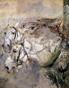 Dwa białe konie Obraz Giovanniego Boldini (1842-1931) 1874 wym.153x122 cm Pistoia, kolekcja Boldini autorstwa Giovanni Boldini