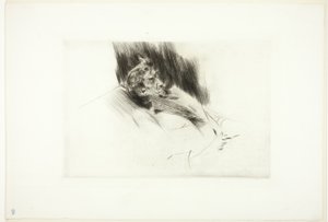 Świstak śpi autorstwa Giovanni Boldini