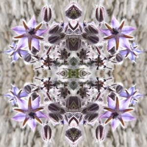 Nienaturalny 159 (zdjęcie zmanipulowane cyfrowo) autorstwa Giovanni Cafagna