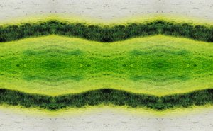 Nienaturalny 2.1 (zdjęcie zmanipulowane cyfrowo) autorstwa Giovanni Cafagna