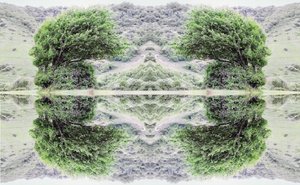 Nienaturalny 40 (zdjęcie zmanipulowane cyfrowo)