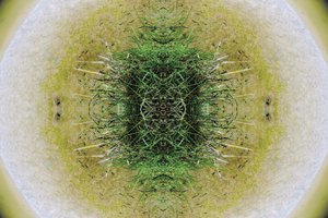 Unnatural 6.1 (zdjęcie zmanipulowane cyfrowo) autorstwa Giovanni Cafagna