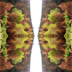 Nienaturalny 77 (zdjęcie zmanipulowane cyfrowo)