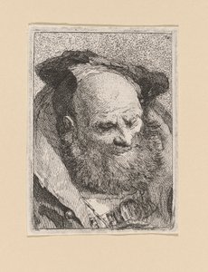 Brodaty starzec, z Raccolta di Teste (Kolekcja głów) autorstwa Giovanni Domenico Tiepolo