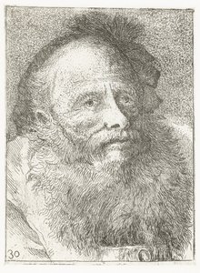 Mężczyzna z brodą i nakryciem głowy z piórami Kolekcja głów (tytuł serii) Raccolta di Teste (tytuł serii) autorstwa Giovanni Domenico Tiepolo
