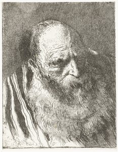 Mężczyzna z brodą w pasiastym płaszczu Kolekcja głów (tytuł serii) Raccolta di Teste (tytuł serii) autorstwa Giovanni Domenico Tiepolo