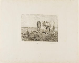 Odpoczynek koni autorstwa Giovanni Fattori