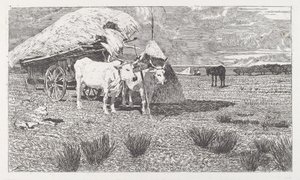 Woły zaprzężone do wozu (Maremma) autorstwa Giovanni Fattori