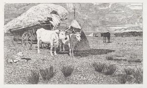Woły zaprzęgnięte do wozu (Maremma) [Bovi al carro (Maremma)] autorstwa Giovanni Fattori