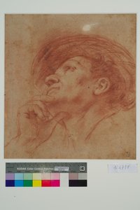 Studium dla Głowy Proroka Aggeusza (czerwona kreda na papierze) autorstwa Giovanni Francesco Barbieri
