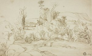 Gaj drzew ze wzgórzami w oddali autorstwa Giovanni Francesco Grimaldi