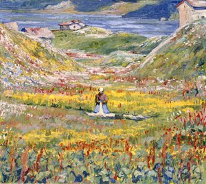 Kwitnące łąki w Maloja; Bluhende wiesen bei Maloja, ok. 1912-1924