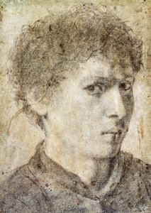 Głowa chłopca, rysunek Gian Girolamo Savoldo (ok. 1480-1548), czarny ołówek i biała kreda, Włochy autorstwa Giovanni Girolamo Savoldo