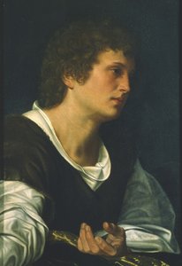 Św. Jan Ewangelista (olej na płótnie) autorstwa Giovanni Girolamo Savoldo