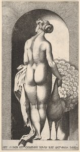 Ilustracja 4: Junona stojąca w niszy, widziana od tyłu, głaszcząca pawia po swojej prawej stronie, fr..., 1526.