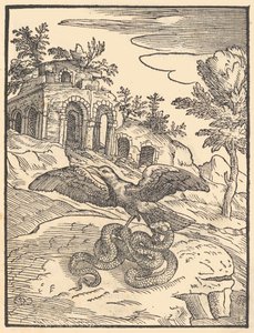 Ptak i wąż, 1570. autorstwa Giovanni Maria Verdizotti