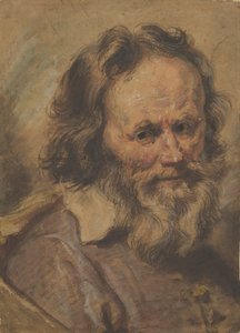 Głowa brodatego mężczyzny, 1600-1630.