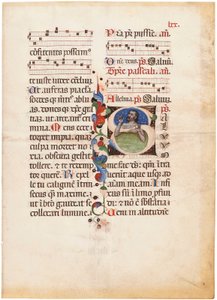 Psalmista w morzu, inicjał "S" na liściu z iluminowanego brewiarza, Bolonia lub Ferrara, ok. 1440 r. (tusz i kolor na welinie) autorstwa Giovanni di Antonio da Bologna
