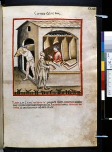 Theatrum sanitatis Ububchasyma de Baldach: "Carnes Salite Si ce", pierwsza dekada XIV wieku (miniatura) autorstwa Giovannino de