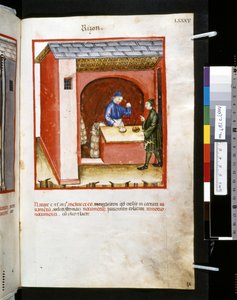 Theatrum sanitatis Ububchasyma de Baldach: "Rizon", pierwsza dekada XIV wieku (miniatura) autorstwa Giovannino de