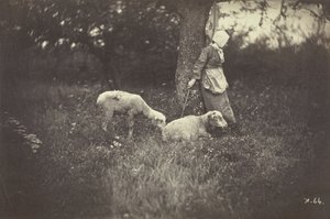 Pasterka oparta o drzewo z dwiema owcami, 1870.
