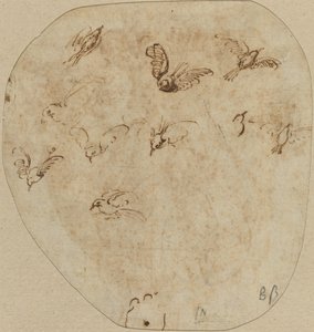 Ptaki w locie [verso] autorstwa Girolamo Mazzola Bedoli