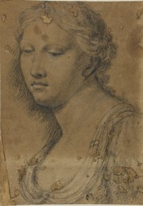 Popiersie kobiety autorstwa Girolamo da Carpi