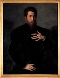Portret męskiego mężczyzny autorstwa Girolamo da Carpi