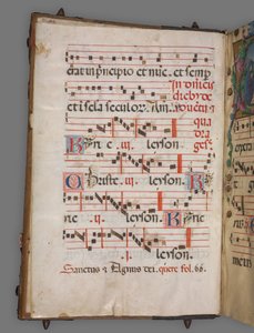 Stopniowo autorstwa Girolamo dai Libri