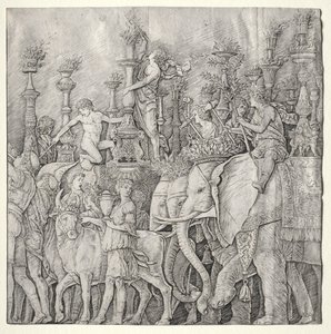 Triumfy Cezara: Słonie autorstwa Giulio Campagnola