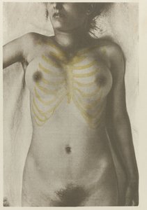 Anatomiczny foto van een vrouwelijk lijk: 
