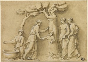 Narodziny Adonisa autorstwa Giulio Romano