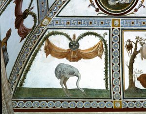 Komora Camera con Fregio di Amorini Fryz Kupidyna, detal przedstawiający strusia, fresk z lat 20. XX wieku autorstwa Giulio Romano