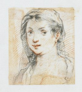 Głowa kobiety (kreda czarno-czerwona) autorstwa Giuseppe Cesari