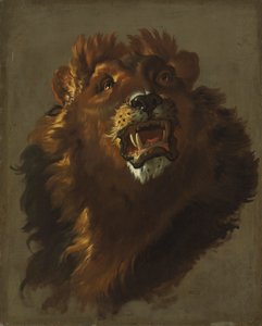 Lew, lata 50. XVIII wieku.